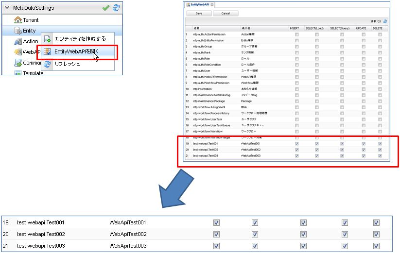 WebAPI Entity AuthSetting