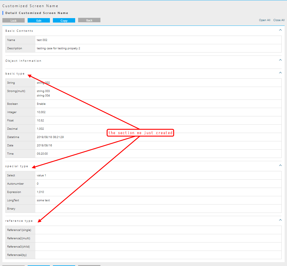 customize detailview en